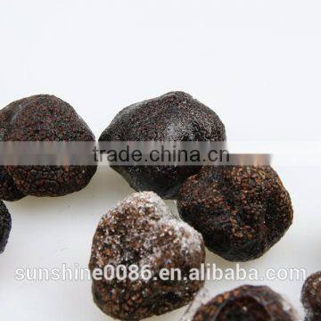 black truffle msuhroom from yunnan