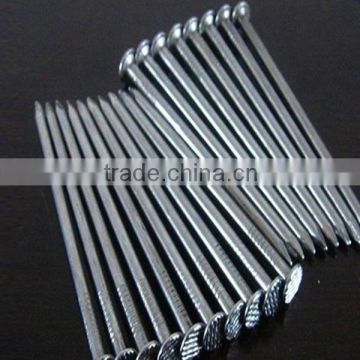 Professional Supplier Common Wire Nails