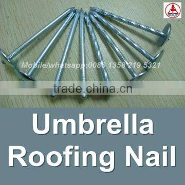 china 1 Lb. Electro Galvanized corrugated roofing nails