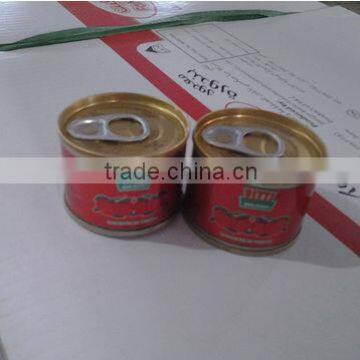 70G to 3000G different sizes tomato paste