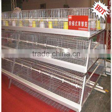 Low Carbon Stainless Baby Chick Cage with Automatic Nipple Drinker