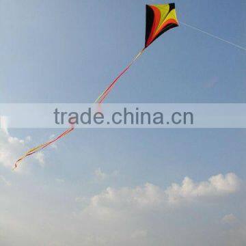 all kinds of colorful diamond kite