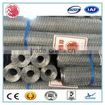 Hebei factory supply hot dipped galvanized welded wire mesh / hexagonal wire mesh