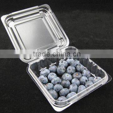 plastic boxes for blueberry packaging