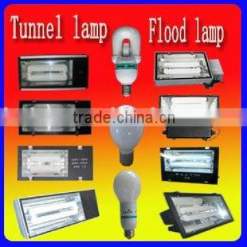 Magnetic induction lamp with lvd tunnel lamp