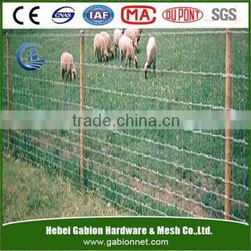 Hot sale----Field fence----good quality