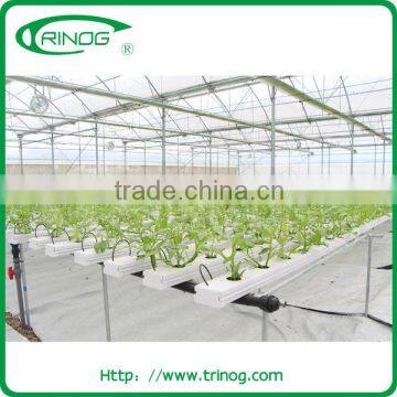 Mini greenhouse for agriculture used