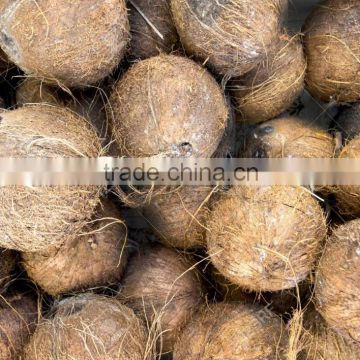 Fresh coconut