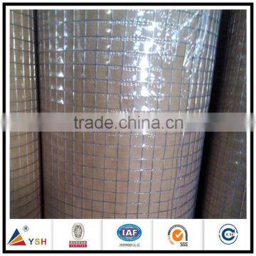 Best web to buy hot dip galvanzied 19x19 galvanized welded wire mesh roll