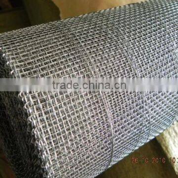 galvanized / powder coated Crimped square wire mesh