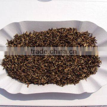 Organic Golden Tips Tea