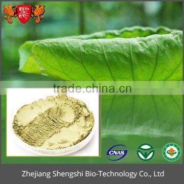 ISO GMP Factory Hot Sale optimal level natural Herbal lotus leaf extract powder for losing weight