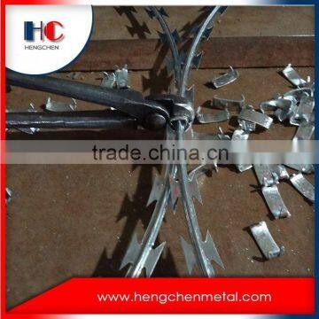 China Stainless Colorful Razor Barb Wire photo-5