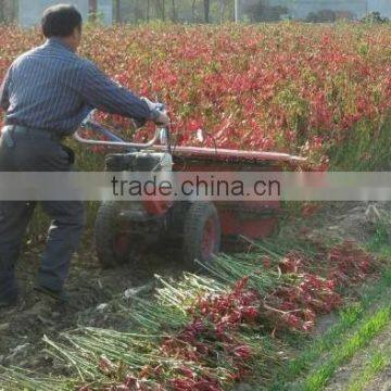 self walking reaper binder and combine mini harvester for rice / chilli/wheat/corn/reed