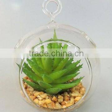 Made in China Bedroom Decoration Hanging Glass Ball Succulent