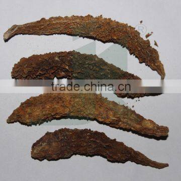 MOMORDICA CHARANTIA EXTRACT