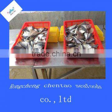 Horse Mackerel Fish Fillet for Sale From Weihai Rongcheng