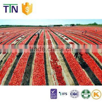 TTN Slightly Sour Sun Dried Vegetable Fruits Tomato photo-5