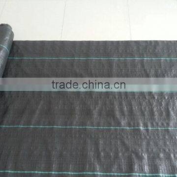 Anti grass netting/ground cover for ex-factory price