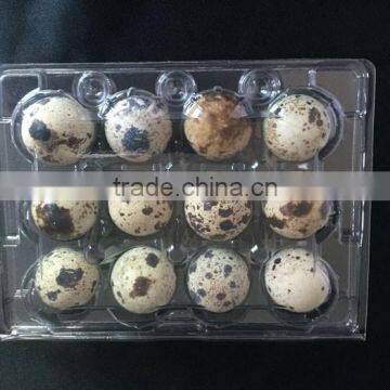 12 holes disposable blister PVC plastic quail egg cartons for egg packaging