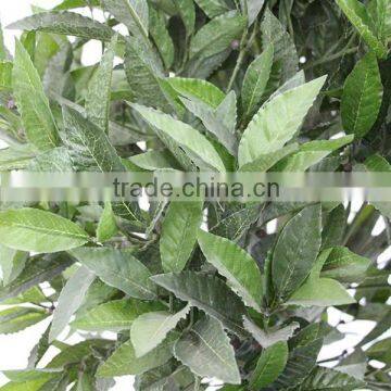 Fake Artficial Decorative Topiary Bay Ball Tree House Wooden Trunk photo-3