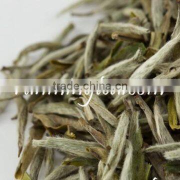 Premium Silver Needle White Tea