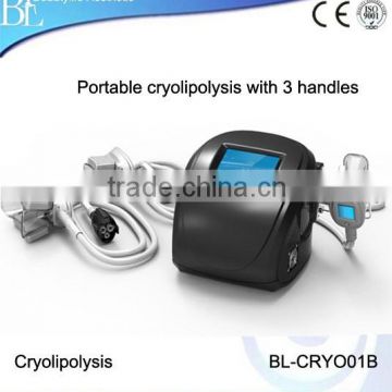 Portable cryolipolysis machine