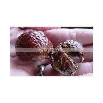 Soapnut Herbal Product Exporter In Indian//Second Grade photo-3