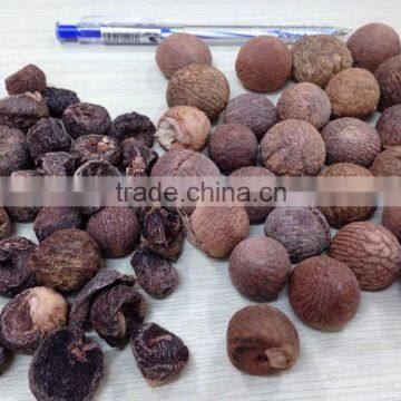 BOILED BETEL NUT Wrinkle seeds AND without wrinkle seed FROM VIETNAM