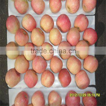 2014 New Chinese Fresh Red Fuji Apple photo-5
