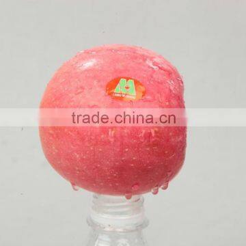 Fresh Fuji Apple photo-2