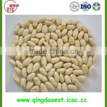 Chinese peanut kernels/blanched peanuts/peanuts in shell