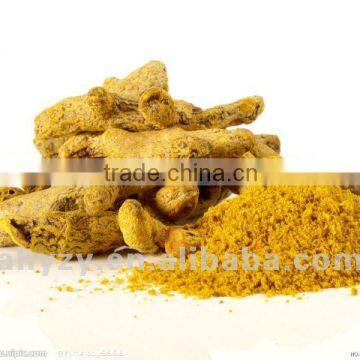 Sell Good Quality Organic Dried Turmeric Powder Jianghuang