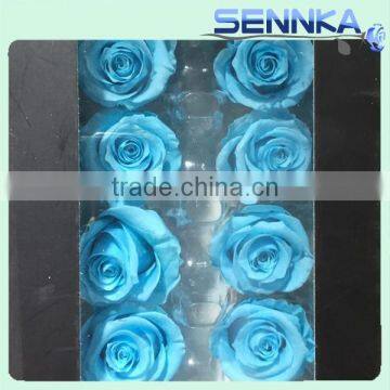 Wholesale elegant real touch preserved rose flower Multi Colored