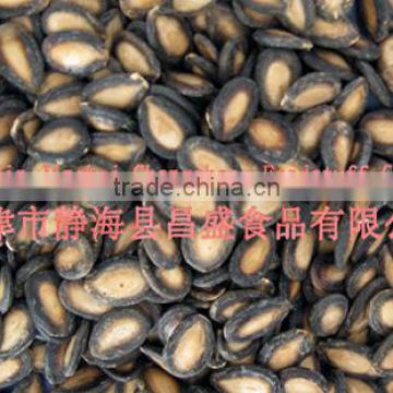 Chinese plumpness black watermelon seeds -good taste