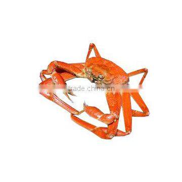 Best Seller Cosmetic Chitosan photo-5