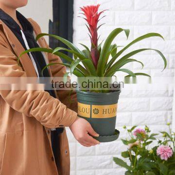 dark green dark green 5 gallon multifunction plastic flower pot/ plant pot vase/ garden pot