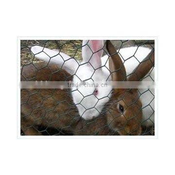 Hexagonal wire mesh with Electro galvanized