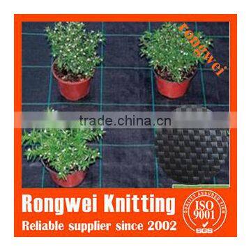 Black and Green Ground Cover photo-2