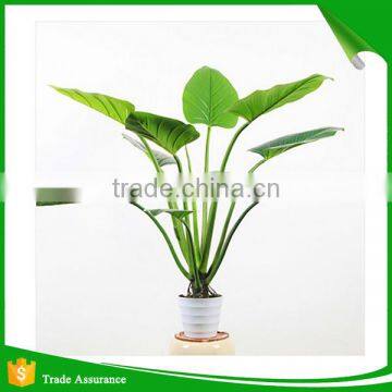 Green Kingdom Artificial Potted Plant Cheap photo-2