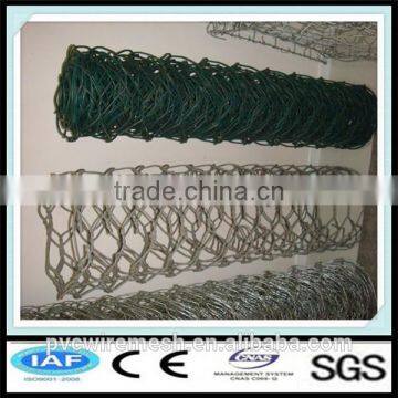 Top Supplier Gabion Wire Mesh/Hexagonal Wire Netting photo-4