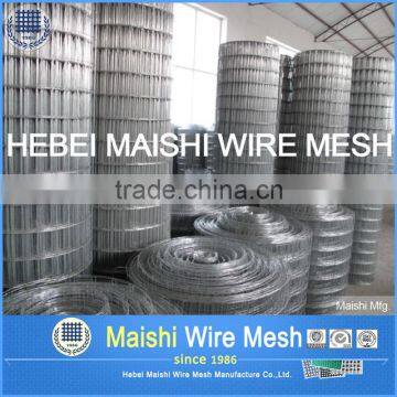 Square Hole Welded Wire Mesh photo-2
