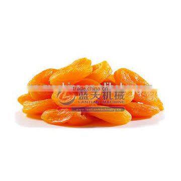 Heat Pump Fruit /fish/cassava Drying Machine photo-5