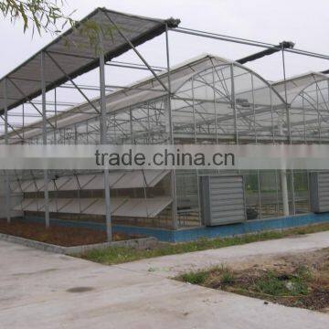 Hot-Dip Galvanized Steel Pipe Frame And 150mm PE Film Covered Multi-Span Greenhouse For Vegetables photo-4