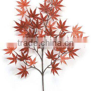 CHY070924 indoor ornamental plant maple hanging tree leaves