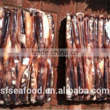 New Food Price of Illex Squid photo-3