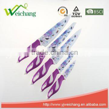 WCE568 5 pcs set Kitchen Knives artwork painting blade PP+TPR handle , hot sale, Wholesale