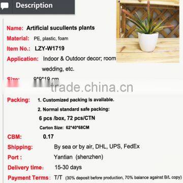 Mini Potted Succulents Flowering Succulent Plants Preserved Mini Succulent Plants Bonsai photo-2