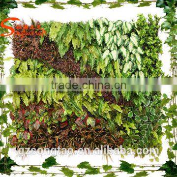 Eco-friendly Garden and Home Decoration Artificial Green Wall Moving photo-5