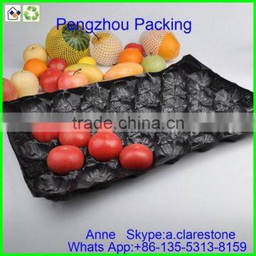 Pengzhou Plastic Ice Cube Tray photo-4